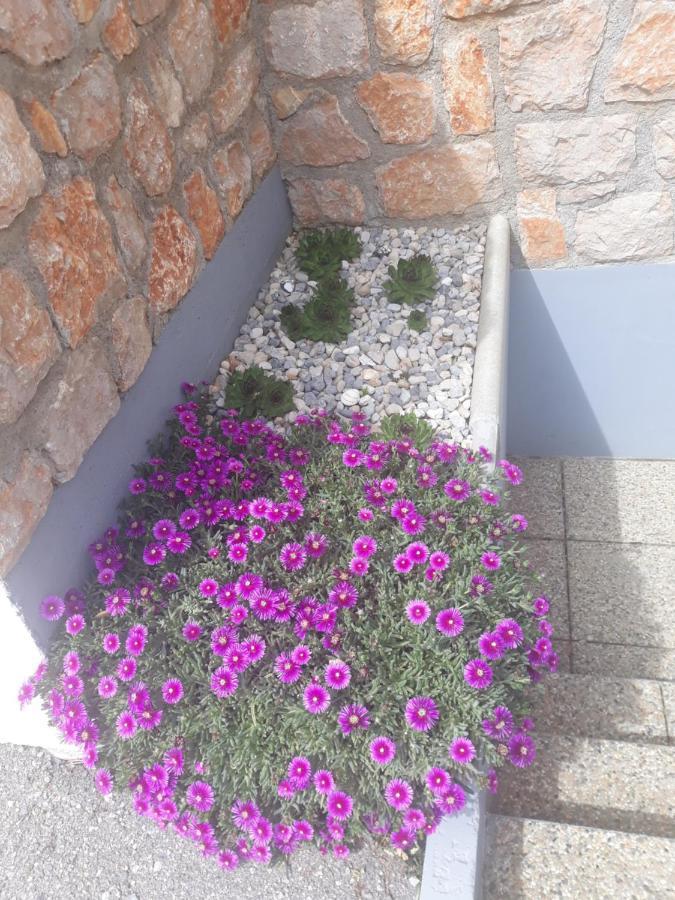 Villa Mihaela - Apartment Ana Cesarica Kültér fotó