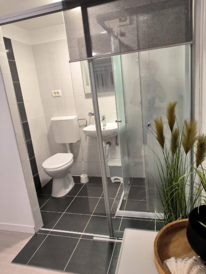 Villa Mihaela - Apartment Ana Cesarica Kültér fotó